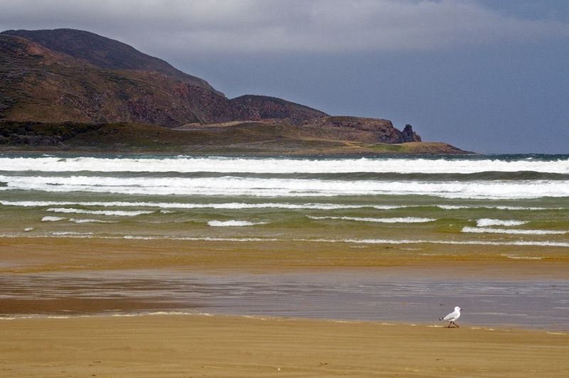 Cloudy Bay, Bruny Island, Tas.