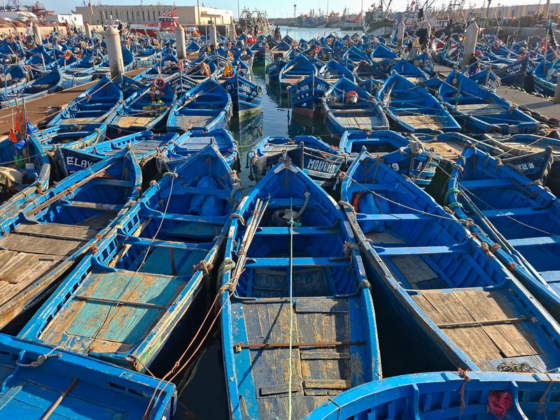 Morocco and Tunisia (8 galleries)