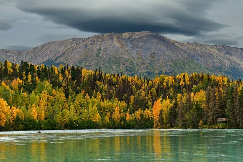 AK - Kenai River Fall 2.jpg