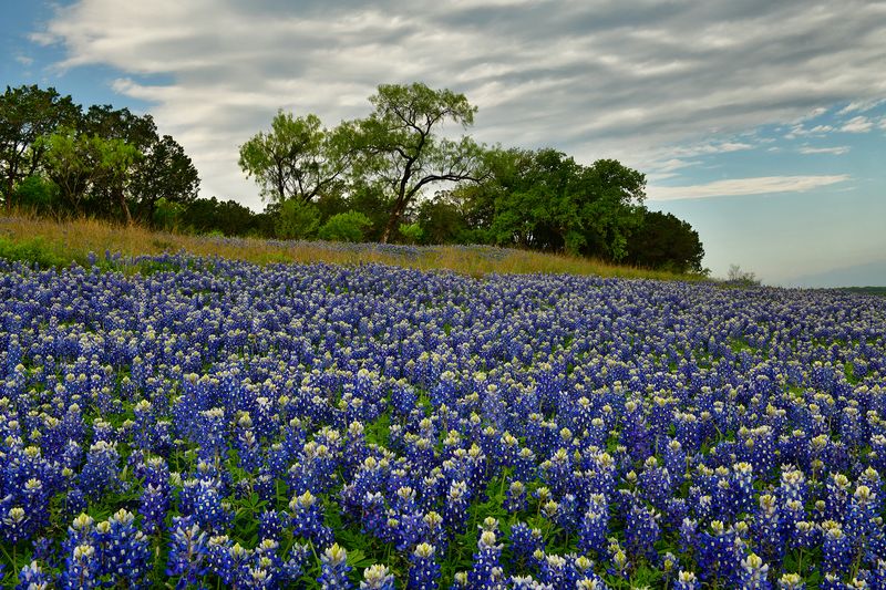 TX - Muleshoe Bend Morning 6.jpg