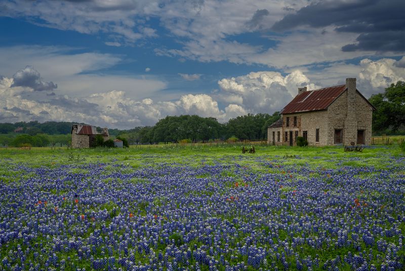 TX - Bluebonnet House 1.jpg