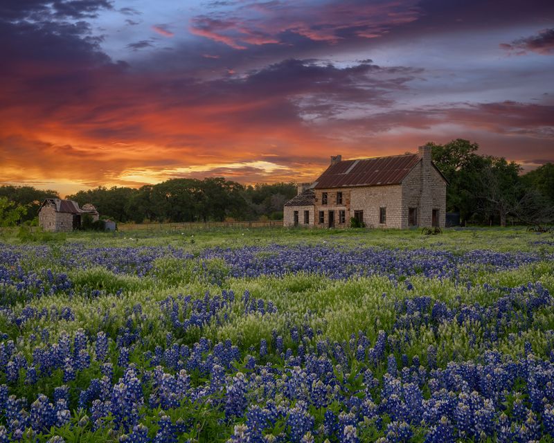 TX - Bluebonnet House 2.jpg