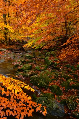 MD - Catoctin Mountain Park Big Hunting Creek 2.jpg