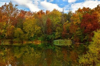 MD - Catoctin Mountain Park Frank Bentz Pond.jpg