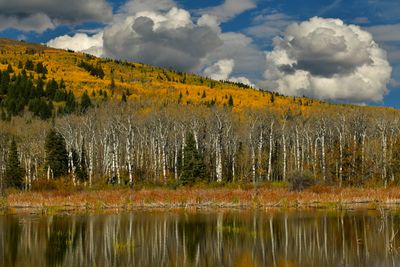 MT - Glacier National Park Autumn Pond.jpg