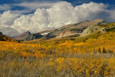 MT - Glacier National Park Two Medicine Hat Autumn.jpg