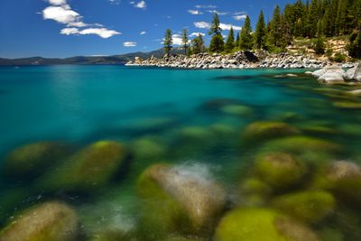 NV - Lake Tahoe Secret Cove 1.jpg