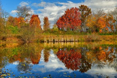 VA - Autumn Pond Reflection.jpg