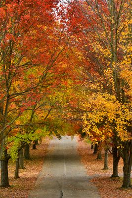 VA - New River Gorge National Park 2.jpg