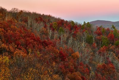 VA - Shenandoah National Park.jpg