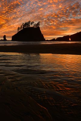 WA - Olympic National Park 2nd Beach 1.jpg