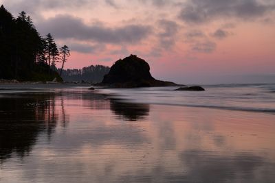 WA - Olympic National Park 2nd Beach 2.jpg