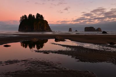 WA - Olympic National Park 2nd Beach 3.jpg
