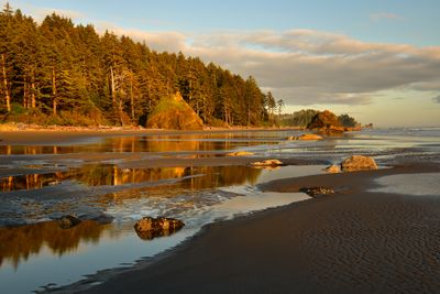 WA - Olympic National Park 2nd Beach 5.jpg