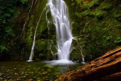 WA - Olympic National Park Madison Falls.jpg
