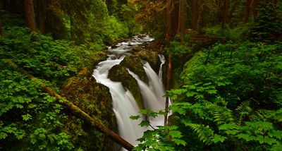 WA - Olympic National Park Sol Duc Falls.jpg