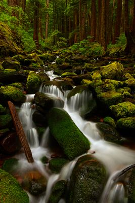WA - Olympic National Park Sol Duc Stream 1.jpg