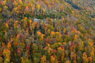 WV - Hawkes Nest State Park 1.jpg