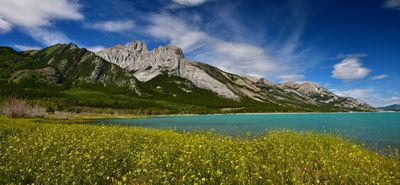 Canada Abraham Lake Summer Wildflowers.jpg