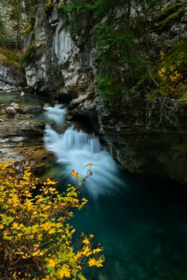 Canada Banff National Park Johnston Canyon Autumn 3.jpg