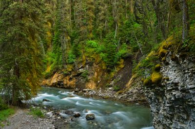 Canada Banff National Park Johnston Canyon Summer 2.jpg