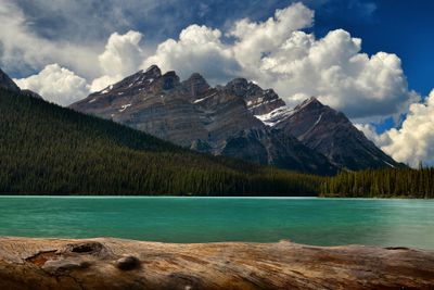 Canada Banff National Park Peyto Lake shoreline.jpg
