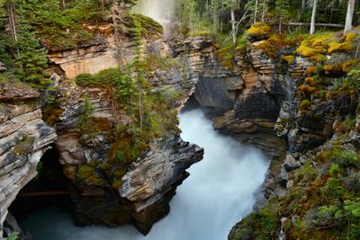 Canada Jasper National Park Athabasca Canyon.jpg