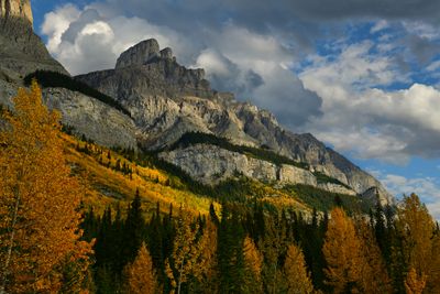 Canada Jasper National Park Autumn Mountainscape.jpg