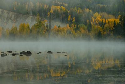 Canada Jasper National Park Foggy Pond.jpg