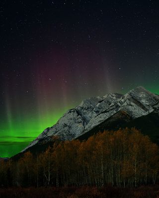 Canada Kananaskis Autumn Northern Lights.jpg