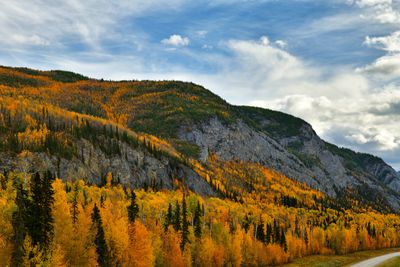Canada Yukon Autumn Colors 3.jpg