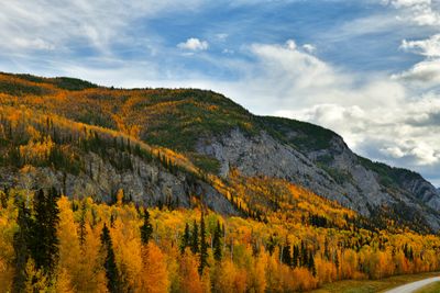 Canada Yukon Autumn Colors 3.jpg