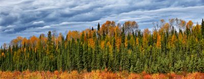 Canada Yukon Autumn Colors 5.jpg