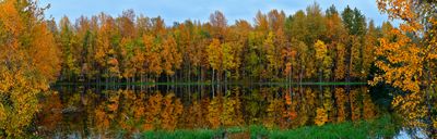 AK - Carl Brady Pond Fall Reflection.jpg