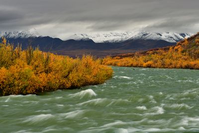 AK - Denali Highway Chulitna River.jpg