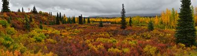 AK - Denali Highway Fall Field Pano.jpg