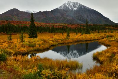 AK - Denali Highway Fall Pond 4.jpg