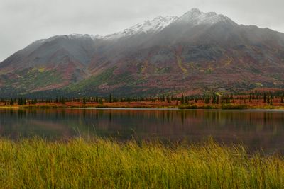 AK - Denali Highway Fall Pond 5.jpg