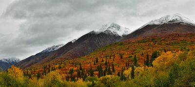 AK - Denali Highway Fall Tundra Pano.jpg