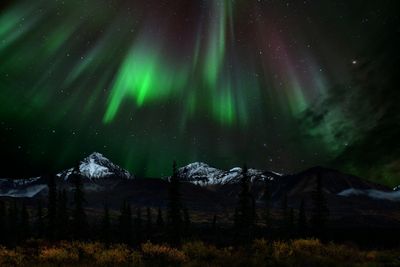 AK - Denali Highway Twin Lakes Northern Lights.jpg