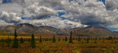 AK - Denali National Park Fall Tundra Pano 1.jpg
