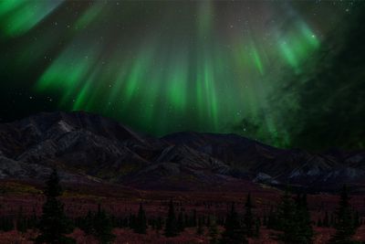 AK - Denali National Park Northern Lights 2.jpg