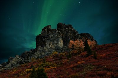 AK - Denali National Park Northern Lights 3.jpg