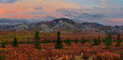 AK - Denali Natonal Park Fall Tundra Pano 2.jpg