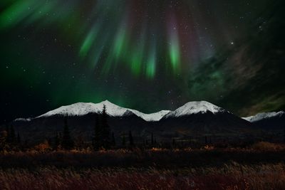 AK - Denali State Park Northern Lights.jpg