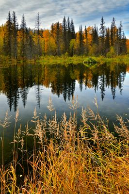 AK - Joe Lake Fall Reflection.jpg