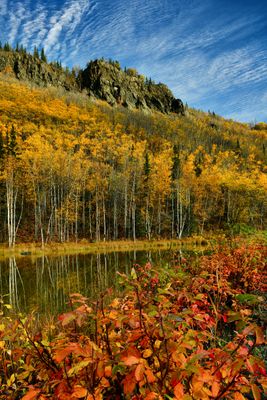 AK - Mananuska River Area Pond Sky.jpg