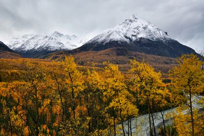 AK - Mananuska River Overlook 2.jpg