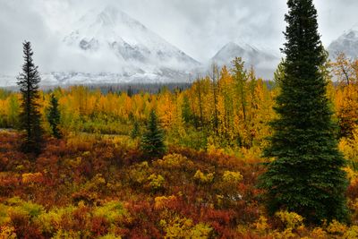AK - Parks Highway Snowy Peaks 1.jpg