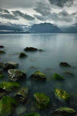 AK - Seward Shoreline 2.jpg